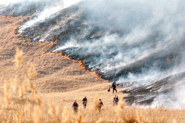 Ai provocat un incendiu de vegetaţie uscată? Amenda „arde” rău la buzunar!